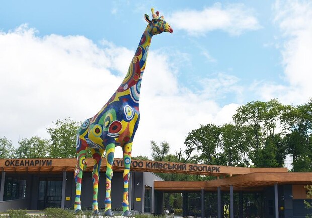 В Киевском зоопарке обновили главного жирафа. Фото: Facebook Киевского зоопарка