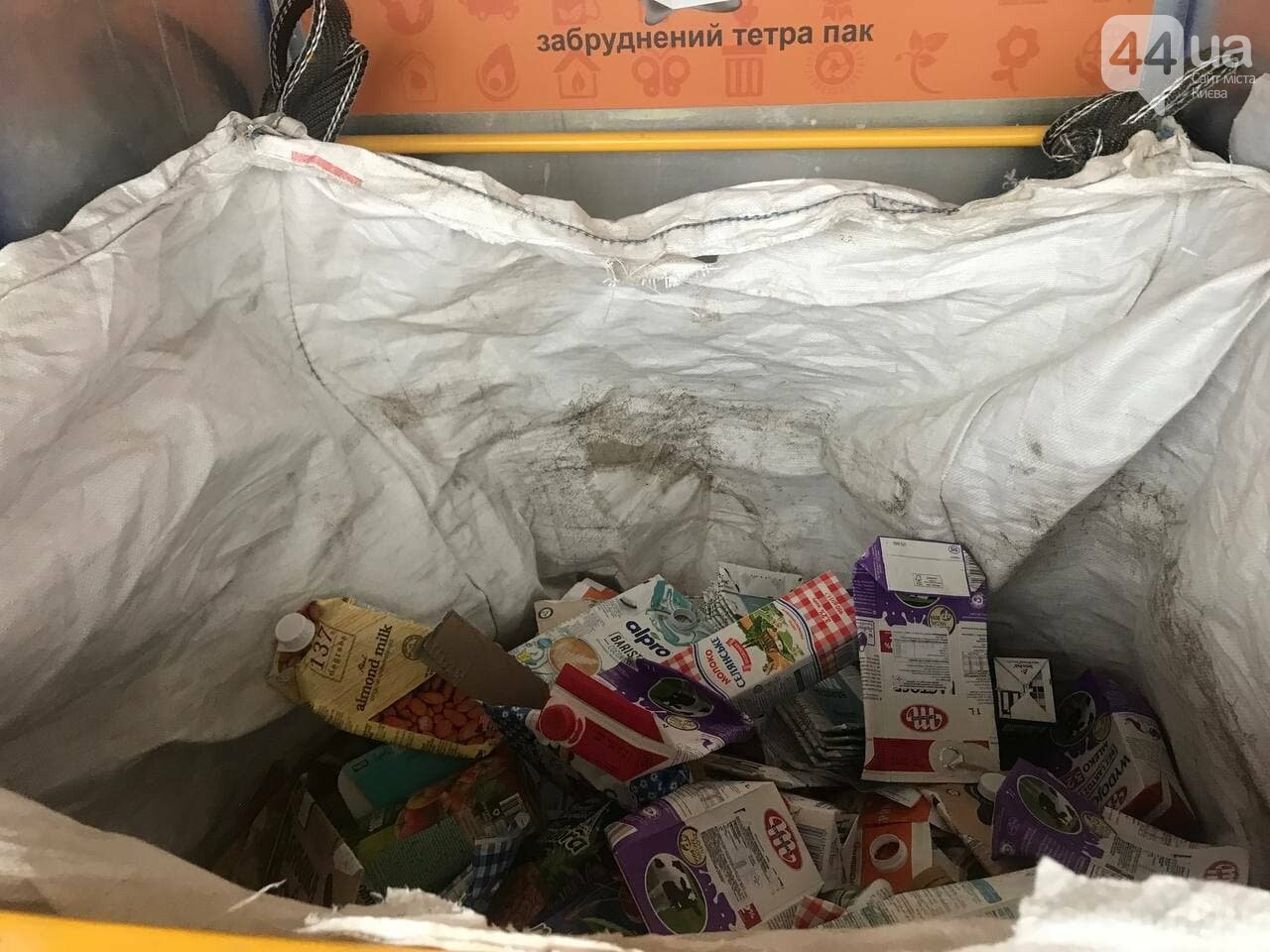 Все приносят мусор в одну точку: в Киеве прошла экоакция, - ФОТО