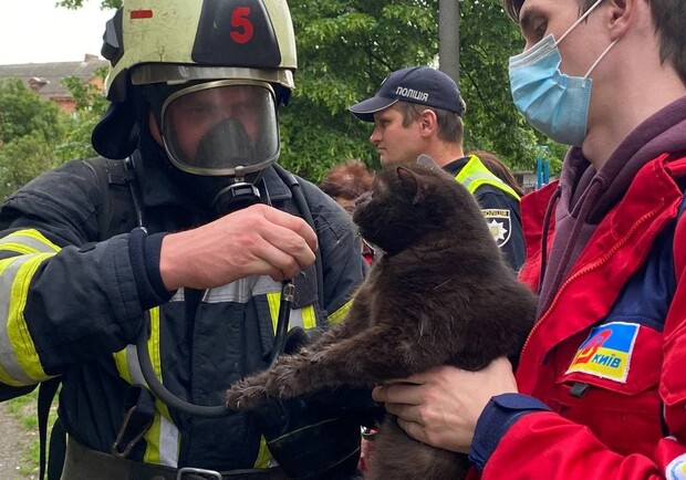 В Дарницком районе пожарные спасли кота из горящей квартиры. Фото: ГСЧС,