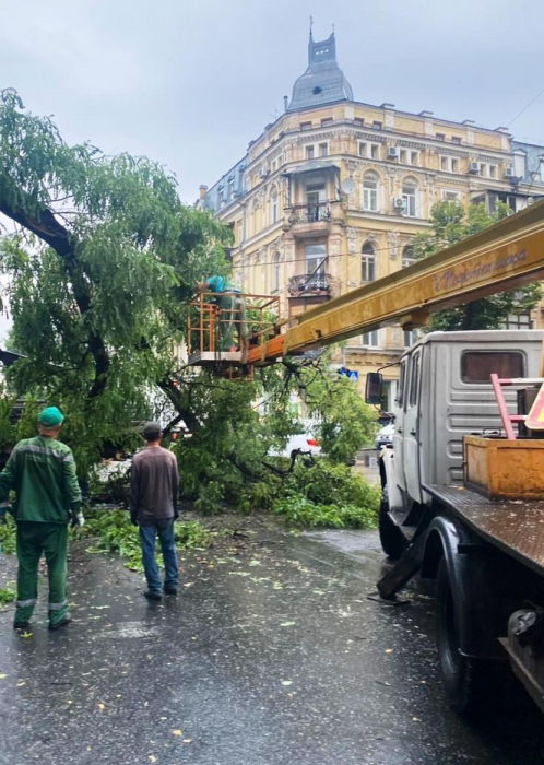 Не асфальтом единым: гроза в Киеве уничтожила почти 200 деревьев фото 2