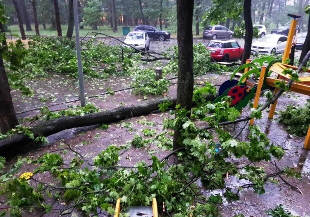 Гроза в Киеве уничтожила почти 200 деревьев - фото