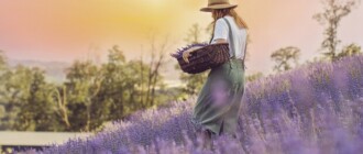 Под Киевом в селе Порадовка откроется необычный лавандовый парк Под Киевом в селе Порадовка откроется необычный лавандовый парк