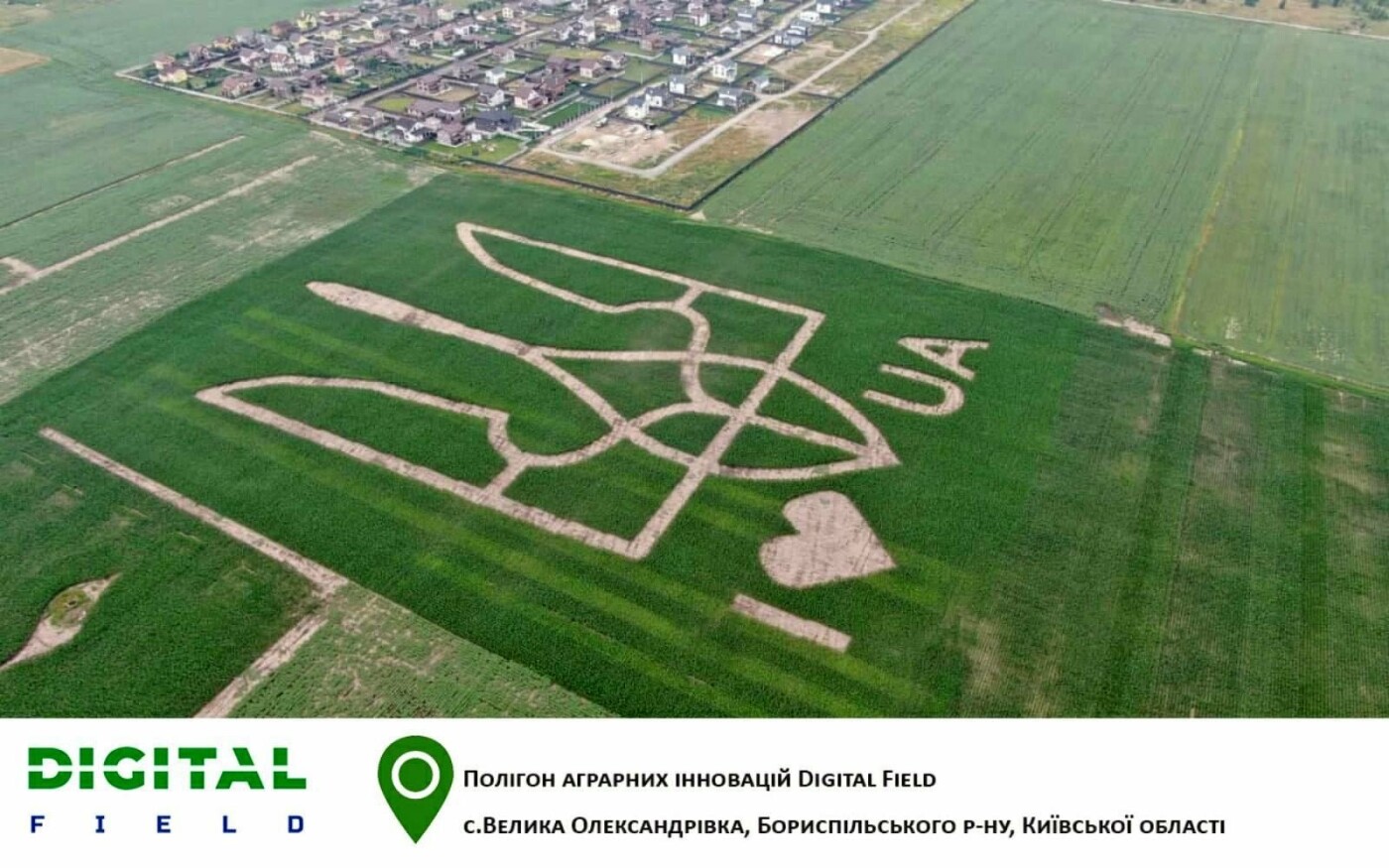 Побил все рекорды: в Киевской области на поле высеяли огромный герб Украины, - ВИДЕО