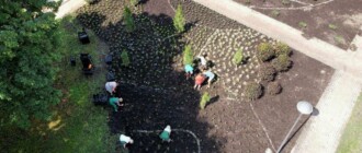 В одном из парков Киева высадили растения в нидерландском стиле, - ФОТО
