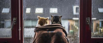 Идет похолодание: Киев заденет циклон Лучиано, в столице ожидается гроза Идет похолодание: Киев заденет циклон Лучиано, в столице ожидается гроза