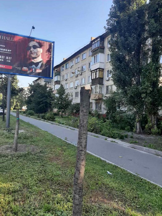 На бульваре Перова рядом с рекламным билбордом спилили три дерева. Фото: "Київзеленбуд"
