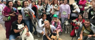 Шпиц, сфинкс и команда: как в Киеве прошел хвостатый забег с четырехлапыми друзьями, - ФОТО, ВИДЕО