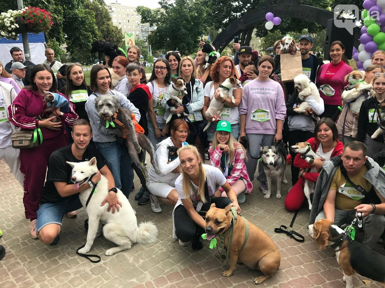 Шпиц, сфинкс и команда: как в Киеве прошел хвостатый забег с четырехлапыми друзьями, - ФОТО, ВИДЕО