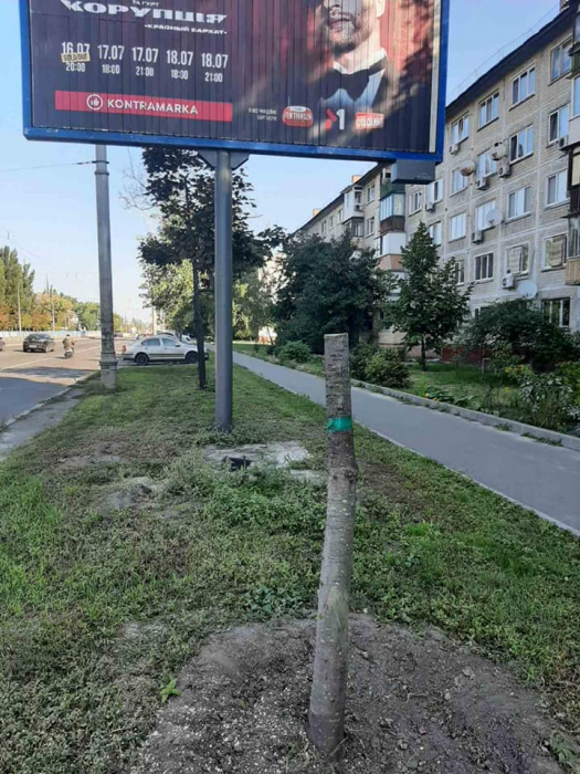 На бульваре Перова рядом с рекламным билбордом спилили три дерева. Фото: "Київзеленбуд"