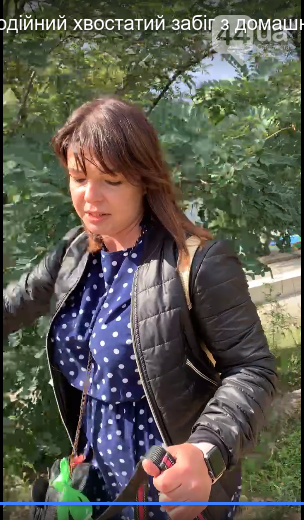 Шпиц, сфинкс и команда: как в Киеве прошел хвостатый забег с четырехлапыми друзьями, - ФОТО, ВИДЕО