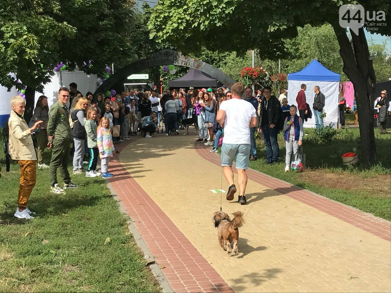 Шпиц, сфинкс и команда: как в Киеве прошел хвостатый забег с четырехлапыми друзьями, - ФОТО, ВИДЕО