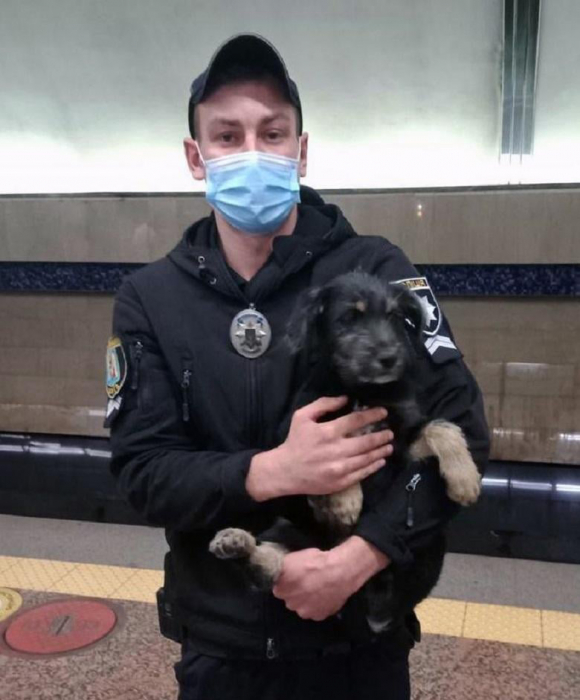 Собаку передали дежурному полицейскому. Фото: полиция Киева