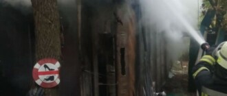 Нашли бездыханное тело: на лодочной станции в Гидропарке произошел пожар