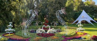 В Киеве на Спивочем поле открылась выставка хризантем (фото)