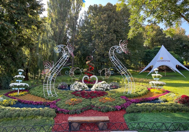 В Киеве на Спивочем поле открылась выставка хризантем. Фото: пресс-служба