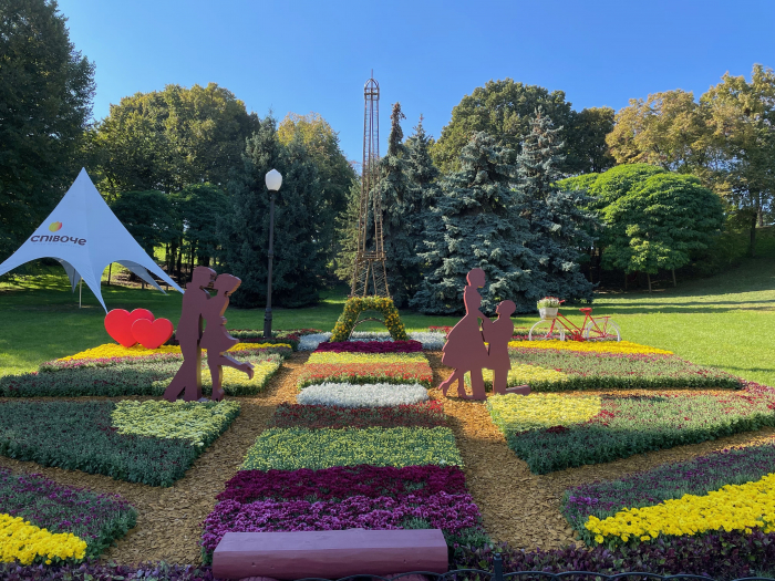 Насладись романтикой: на Спивочем поле открылась выставка хризантем фото 4