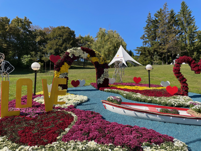Насладись романтикой: на Спивочем поле открылась выставка хризантем фото 3