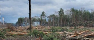 Под Киевом ради застройки "Новой почты" вырубили лес: что ответили в компании