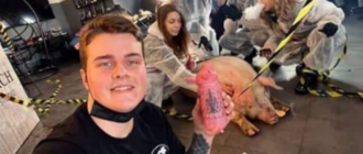 Киевляне по ошибке шлют деньги в приют на спасение свиньи из тату-салона