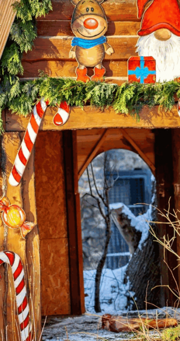 В Киеве в зоопарке тиграм подарили к Новому году декоративные домики