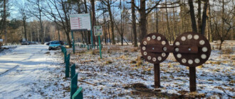 В Национальном парке "Голосеевский" установили интерактивные стенды: для чего они