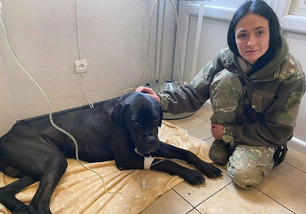 Киевские кинологи спасли собаку, которую покинули хозяева. 