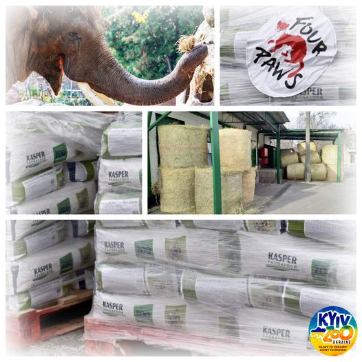 Киевский зоопарк получил 12 тонн гуманитарной помощи - фото: facebook.com/zoo.kyiv.ua/