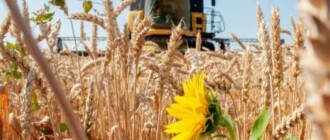 They will be considered involved in crimes": Ukraine at the United Nation advised countries not to buy grain stolen by the Russian Federation