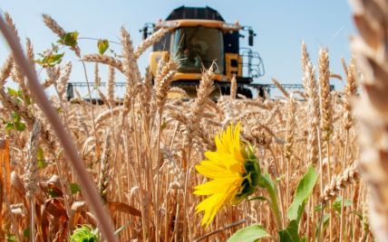 
They will be considered involved in crimes": Ukraine at the United Nation advised countries not to buy grain stolen by the Russian Federation
