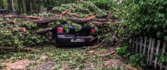 Непогода в Киеве: упавшие деревья повредили 11 автомобилей