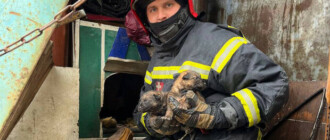 В Киеве пожарные спасли от огня семерых щенков