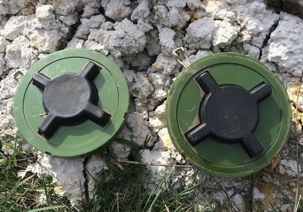 На Киевщине двое мужчин подорвались на мине 