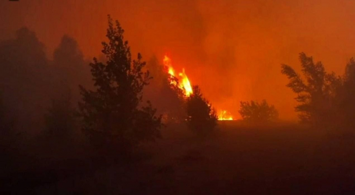 Опівночі рятувальники витягли з вогню жінку на Вишгородщині