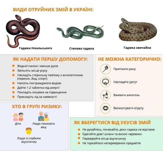 На Киевщине мужчину искусала черная гадюка.