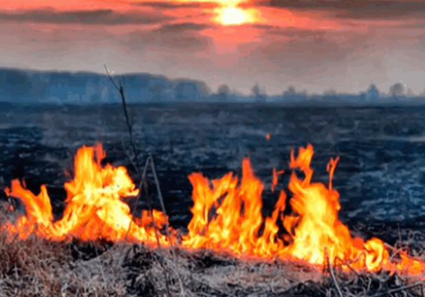 Пожары в Киевской области локализованы. 