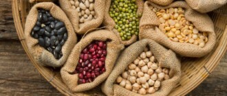 Качественные семена – залог хорошего урожая