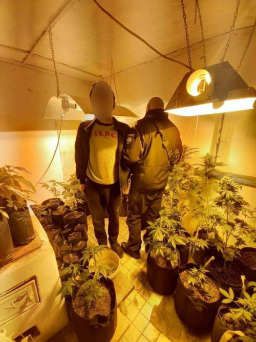 Под Киевом в частном подворье обнаружили плантацию марихуаны.