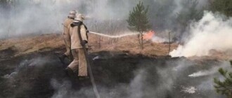 Какая ситуация с торфяными пожарами в Киевской области