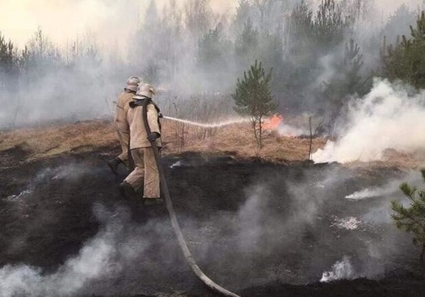 Какая ситуация с торфяными пожарами в Киевской области 