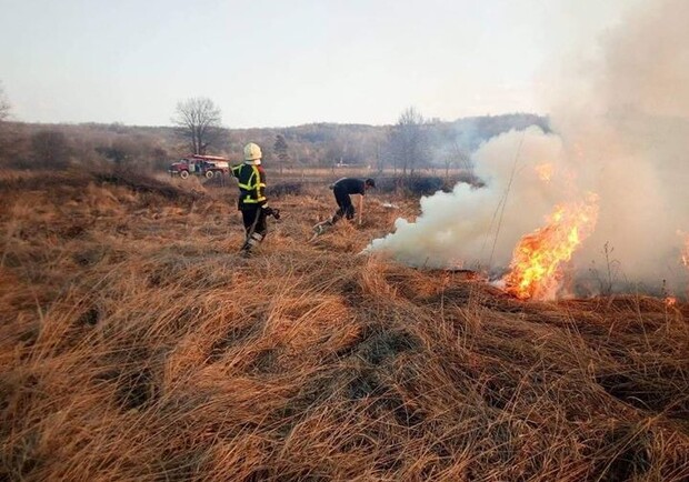 Запах гари в Киеве: торфяные пожары в Киевской области продолжаются. 
