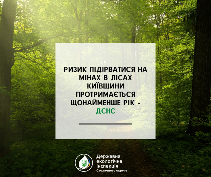 В Киевской области рекомендуют в этом году не собирать грибы.