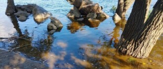 Днепровская вода подтопила на Оболони парк "Наталка" - фото