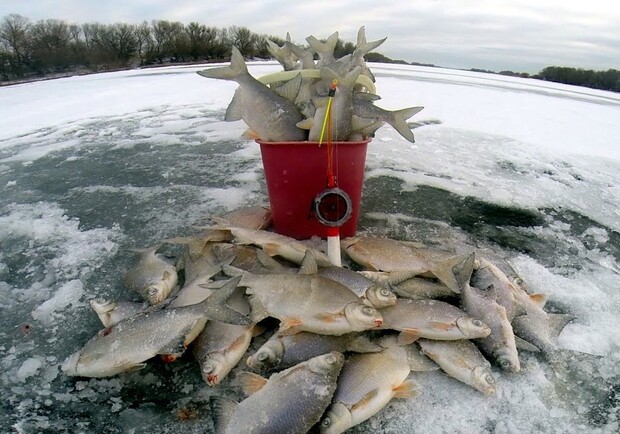 В Киевской области запретили ловить рыбу зимой: где именно. 