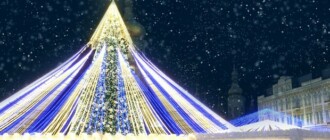 За какие деньги будет установлена главная новогодняя елка в Киеве