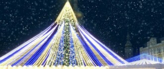 Киевляне выступили против установки главной новогодней елки