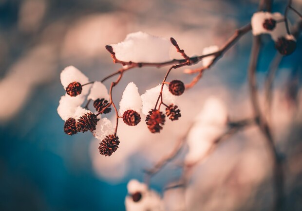 Какая погода будет в Киеве на этой неделе, 14-20 ноября. 