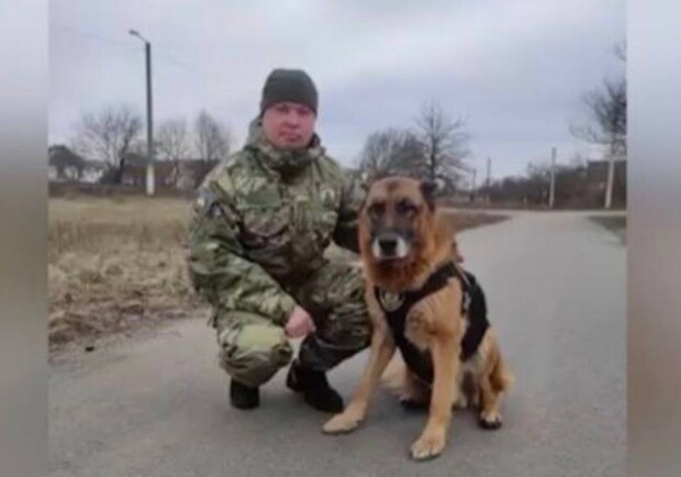 В Обуховском районе служебный пес нашел заблудившуюся в лесу бабушку. 