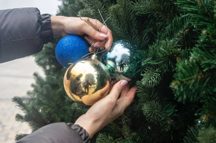 На Софийской площади монтируют новогоднюю елку: как она смотрится.