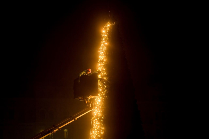 Как выглядит главная новогодняя елка страны на Софийской площади в Киеве.