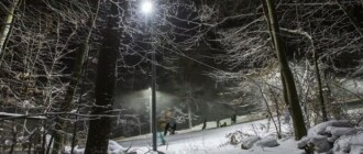 В Голосеевском лесу начался сезон катания на лыжах и сноубордах: цены